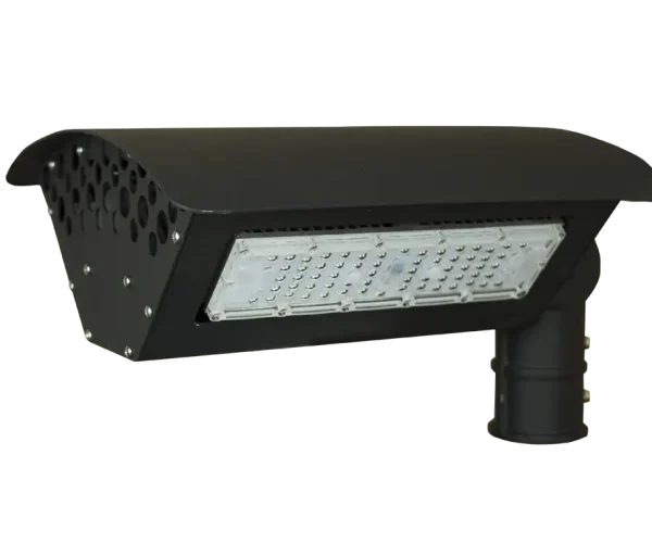 BI-FLOOD-LIGHTS-60W-1 wg-bifloodlight